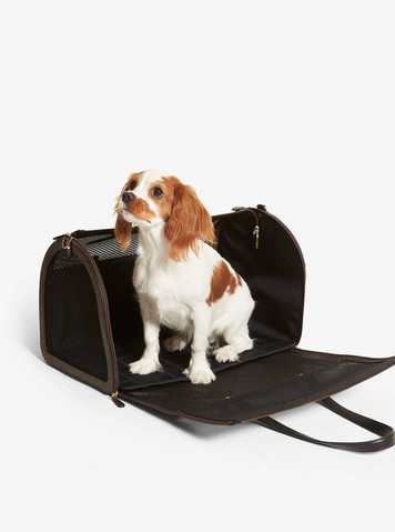 michael kors dog bag