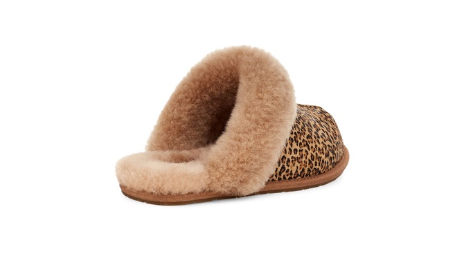 Women's Scuffette II Speckles House Slipper Chestnut UGG — Фото, Картинка BAG❤BAG Придбати оригінал Україна, Київ, Житомир, Львів, Одеса ❤bag-bag.com.ua