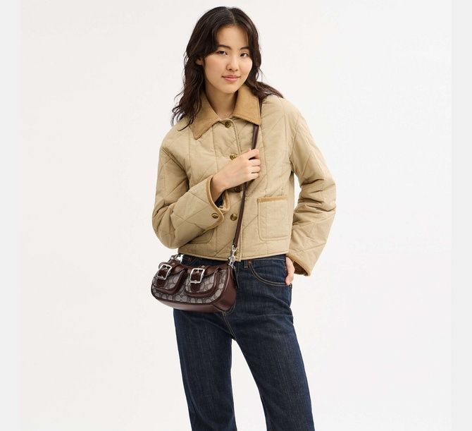 COACH Ashton Bag In Signature Jacquard Silver / Oak / Maple CBJ00 &mdash; фото 3 из 9