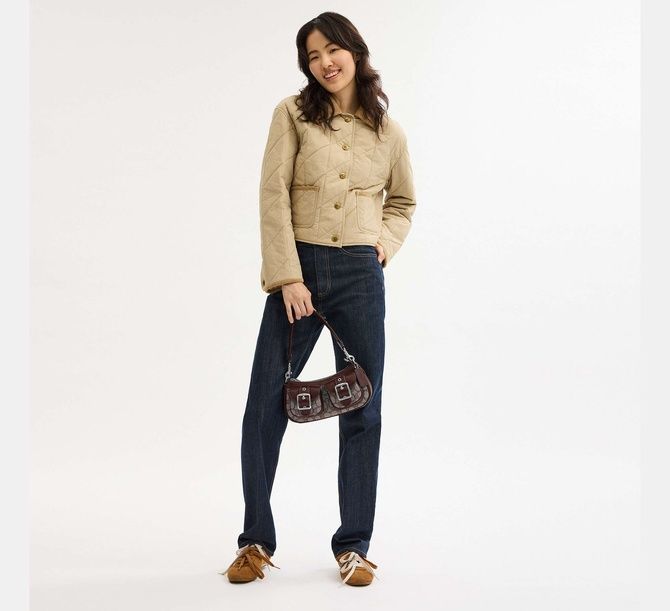 COACH Ashton Bag In Signature Jacquard Silver / Oak / Maple CBJ00 &mdash; фото 2 из 9