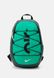 UNISEX - Backpack Vintage green / Stadium green / Summit white Nike — 1/6 Фото, Картинка BAG❤BAG Купить оригинал Украина, Киев, Житомир, Львов, Одесса ❤bag-bag.com.ua