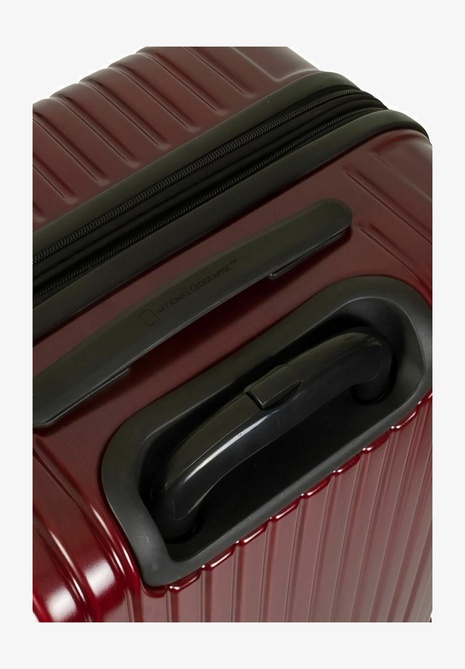 Wheeled suitcase Rot National Geographic — Фото, Картинка BAG❤BAG Купить оригинал Украина, Киев, Житомир, Львов, Одесса ❤bag-bag.com.ua