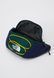 The North Face JESTER LUMBAR UNISEX - Belt Bag Hunter green / Eagle blue BG.THE.96504 &mdash; фото 7 из 8