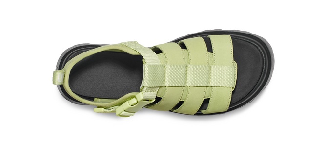 Women's Cora Sandal Caterpillar UGG — Фото, Картинка BAG❤BAG Придбати оригінал Україна, Київ, Житомир, Львів, Одеса ❤bag-bag.com.ua