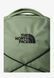 The North Face Jester Backpack Green GREEN BG128654THE &mdash; фото 7 з 7