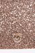Glittery Classic Flat Love Bag PINK / DUSTY PINK-ANTIQUE GOLD Pinko — 4/5 Фото, Картинка BAG❤BAG Купить оригинал Украина, Киев, Житомир, Львов, Одесса ❤bag-bag.com.ua