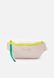 LEMLEM WAIST Bag - Belt Bag Frosty pink PUMA — 1/7 Фото, Картинка BAG❤BAG Придбати оригінал Україна, Київ, Житомир, Львів, Одеса ❤bag-bag.com.ua