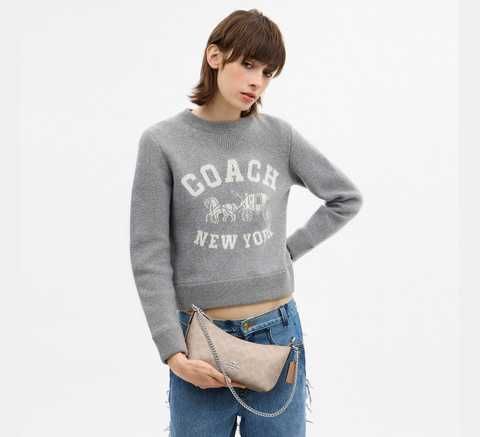 ᐉ COACH Caitlin Shoulder Bag In Signature Canvas Silver / Sand