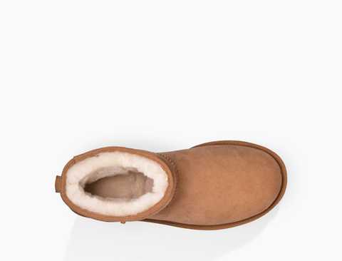 Classic mini chestnut sale ugg