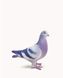 Kallie Pigeon Clutch Bag-Purple Kallie Pigeon Clutch Bag-Purple JW PEI — 2/2 Фото, Картинка BAG❤BAG Купить оригинал Украина, Киев, Житомир, Львов, Одесса ❤bag-bag.com.ua
