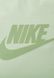 HERITAGE UNISEX - Backpack Honeydew / Oil green Nike — 5/5 Фото, Картинка BAG❤BAG Купить оригинал Украина, Киев, Житомир, Львов, Одесса ❤bag-bag.com.ua