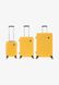 SET ABROAD - Luggage set Yellow National Geographic — 1/4 Фото, Картинка BAG❤BAG Купить оригинал Украина, Киев, Житомир, Львов, Одесса ❤bag-bag.com.ua