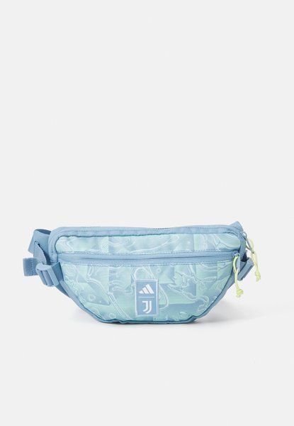 Adidas Juventus Waistbag Unisex Belt Bag Ash Blue / Citrine O6496-JW5459 &mdash; фото 1 з 4