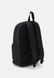 MUST - Backpack BLACK Calvin Klein — 2/4 Фото, Картинка BAG❤BAG Купить оригинал Украина, Киев, Житомир, Львов, Одесса ❤bag-bag.com.ua