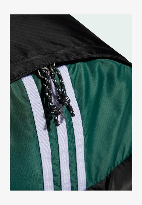 ARCHIVE - Backpack Collegiate green Adidas — Фото, Картинка BAG❤BAG Купить оригинал Украина, Киев, Житомир, Львов, Одесса ❤bag-bag.com.ua