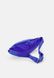HERITAGE UNISEX - Belt Bag Light ultramarine / Deep royal blue Nike — 2/2 Фото, Картинка BAG❤BAG Купить оригинал Украина, Киев, Житомир, Львов, Одесса ❤bag-bag.com.ua
